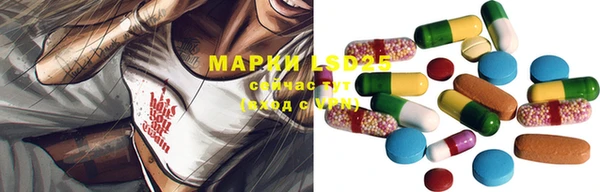 ГАЛЛЮЦИНОГЕННЫЕ ГРИБЫ Абинск
