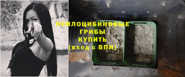 стафф Абдулино