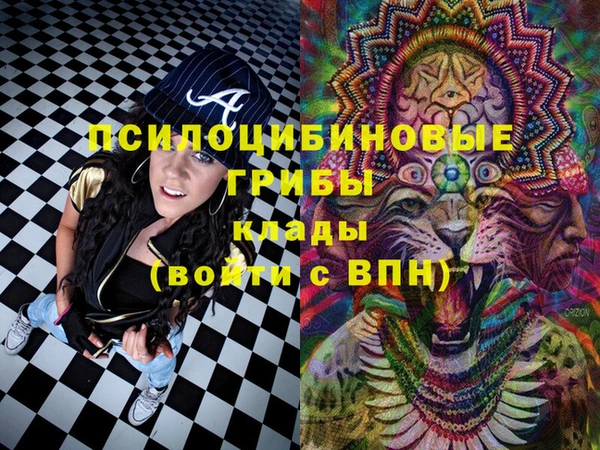твердый Алексеевка