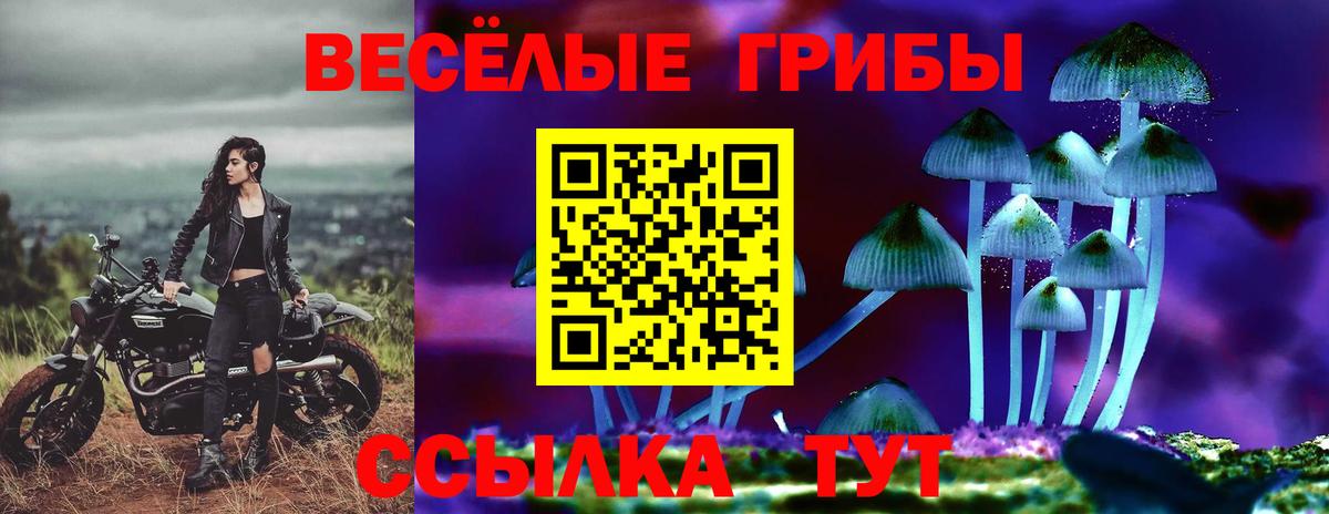 Галлюциногенные грибы Cubensis  Галлюциногенные грибы мухоморы  Вход с VPN  Красноперекопск 